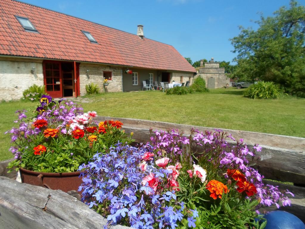 Ansumardi Farmstay Kavandi Buitenkant foto